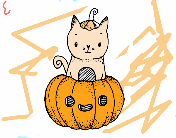 Un gatito de Halloween