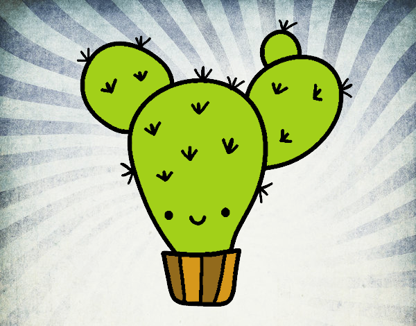 cactus chido