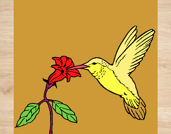 Colibrí y una flor