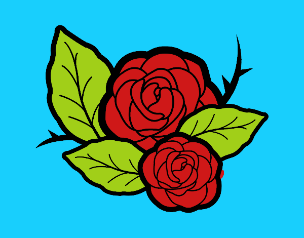 Dos rosas