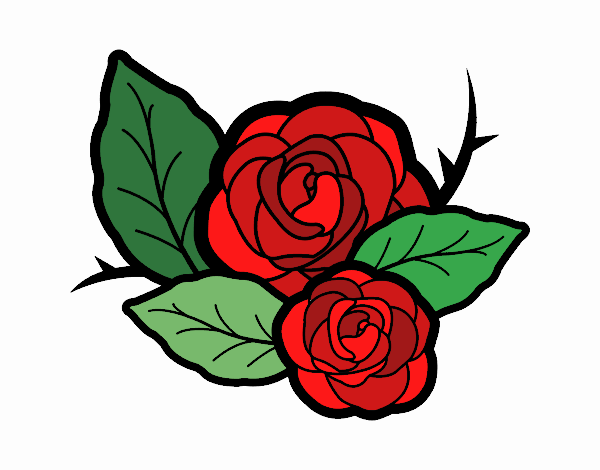 Dos rosas