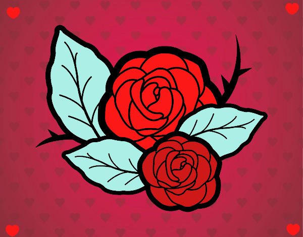 Dos rosas