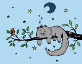 El gato y la luna