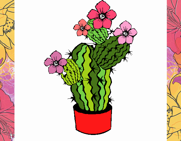 cactus