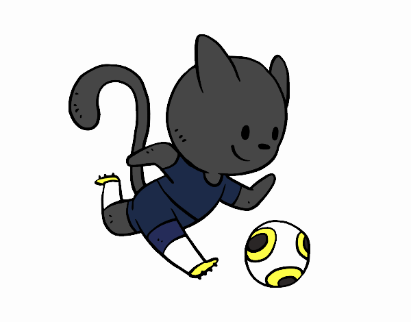 Gato jugando a fútbol