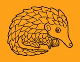 Pangolin