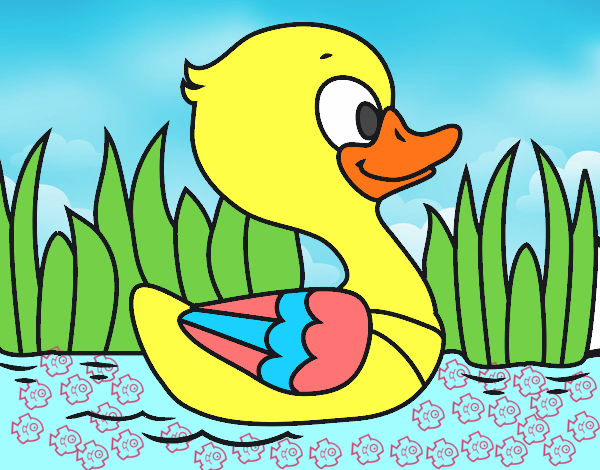 Patito de río