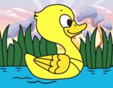 Patito de río