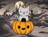 Un gatito de Halloween