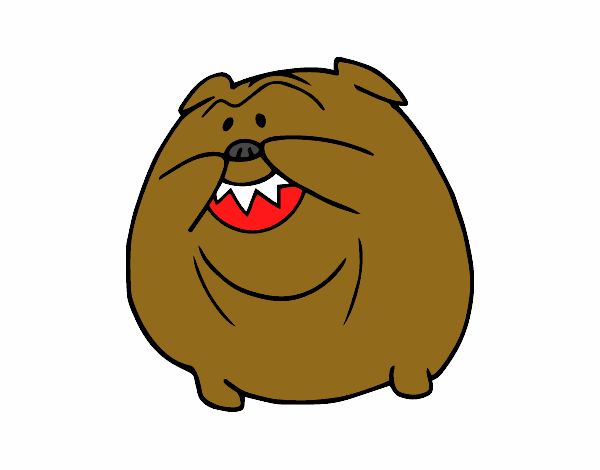Bulldog sonriendo
