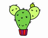 Cactus nopal