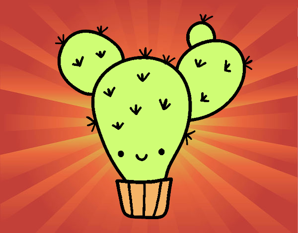 Cactus nopal