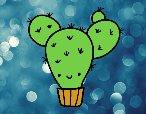 Cactus nopal