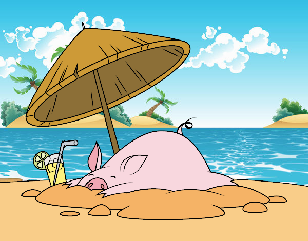 Cerdito en la playa