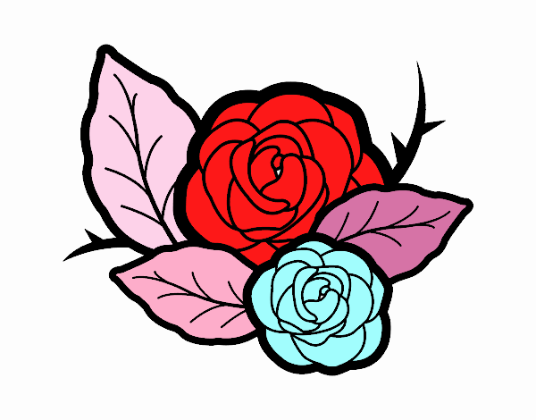 Dos rosas