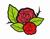 Dos rosas