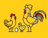 Familia gallina