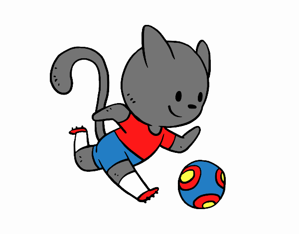 gato futbolista