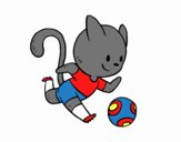 Gato jugando a fútbol