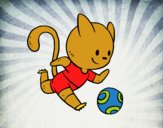 Gato jugando a fútbol