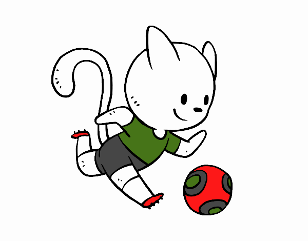 Gato jugando a fútbol