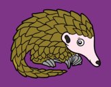 Pangolin