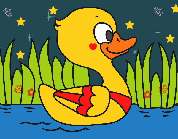 Patito de río