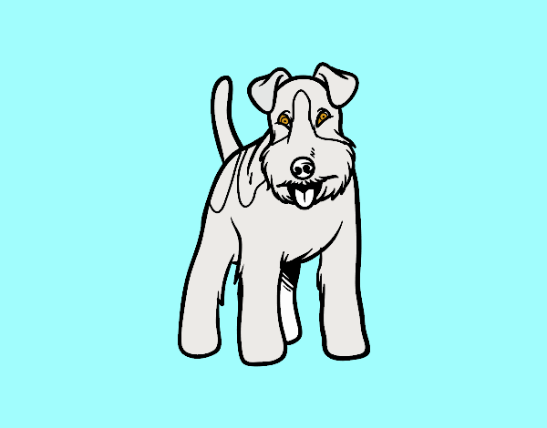 Perro Fox terrier