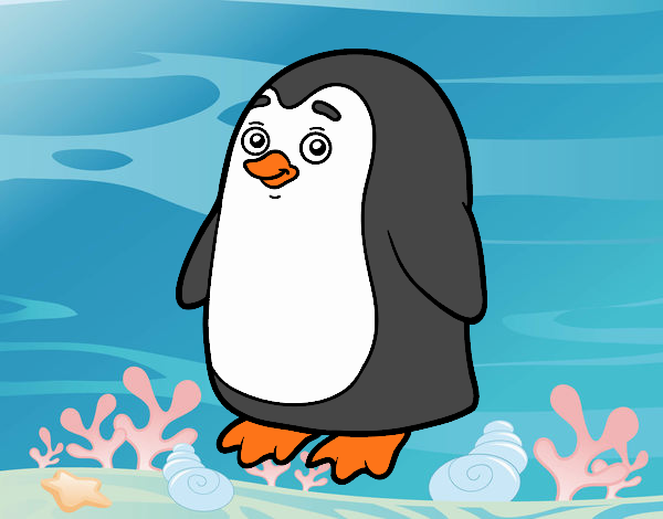 pinguino