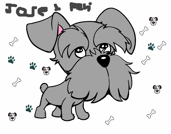 Schnauzer