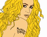 Shakira - Servicio de lavandería