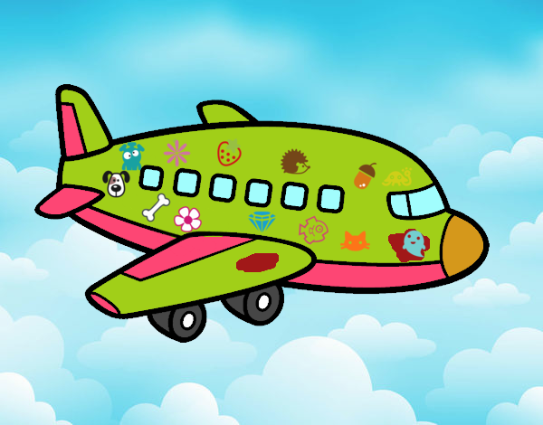 Un avión de pasajeros