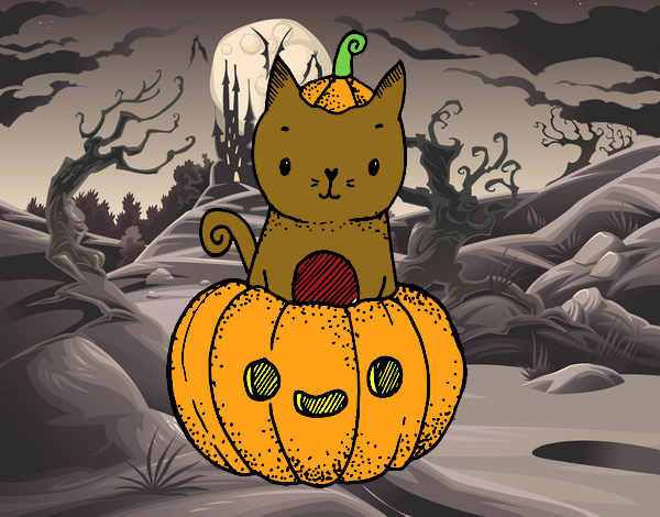 Un gatito de Halloween