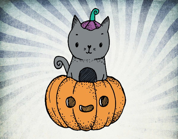 Un gatito de Halloween