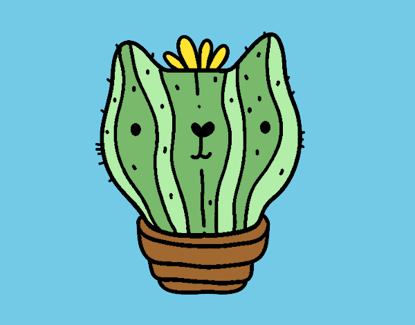 Cactus gato