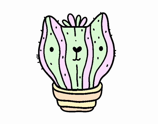 Cactus gato