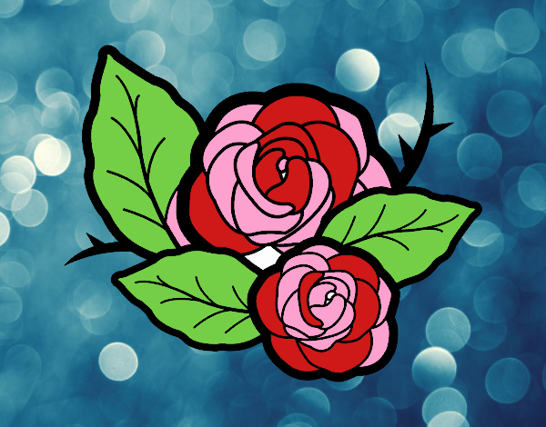 Dos rosas