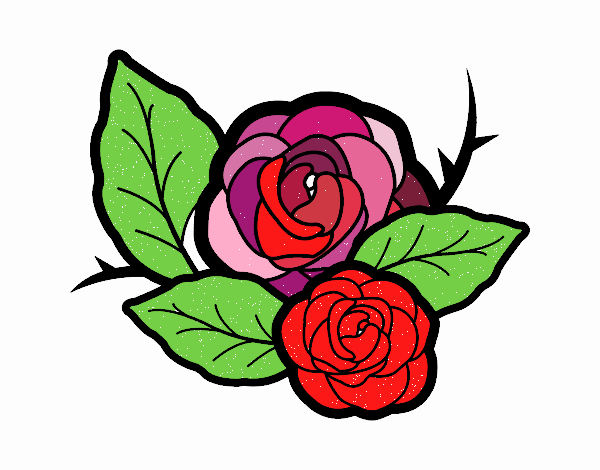 Dos rosas