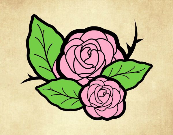 Dos rosas