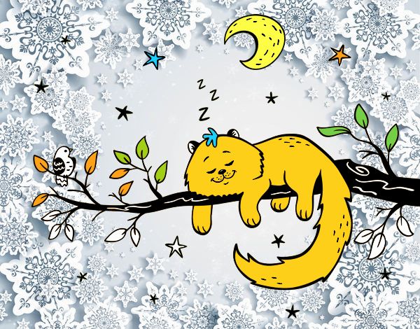 El gato y la luna