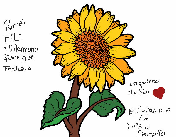 Dibujo de Flor de girasol pintado por en  el día 18-03-23 a las  03:42:29. Imprime, pinta o colorea tus propios dibujos!