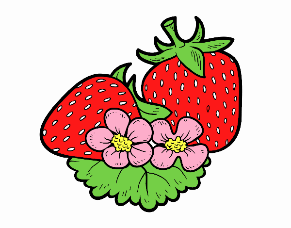 Two delicious strawberry