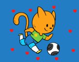 Gato jugando a fútbol