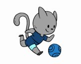 Gato jugando a fútbol