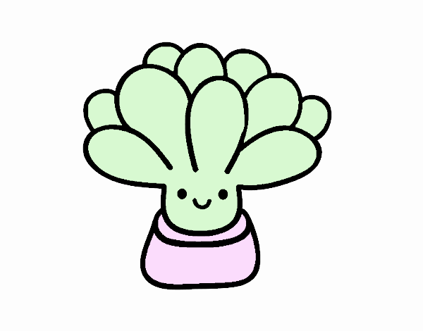 mini cactus
