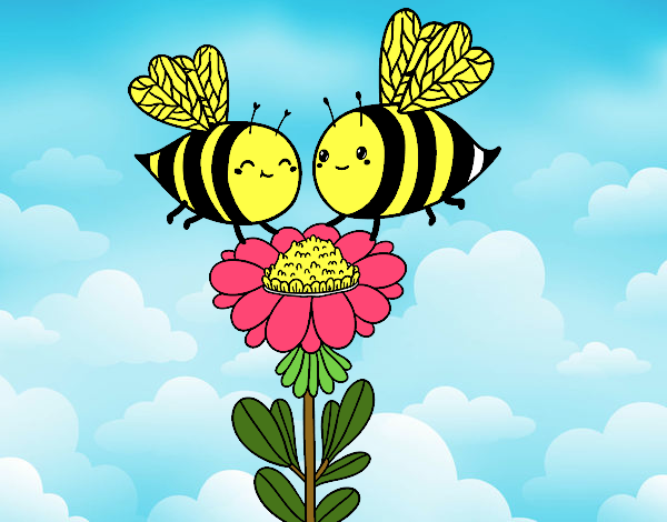 Pareja de abejas