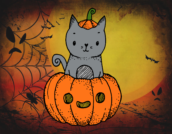 Un gatito de Halloween