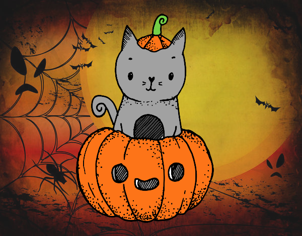 Un gatito de Halloween