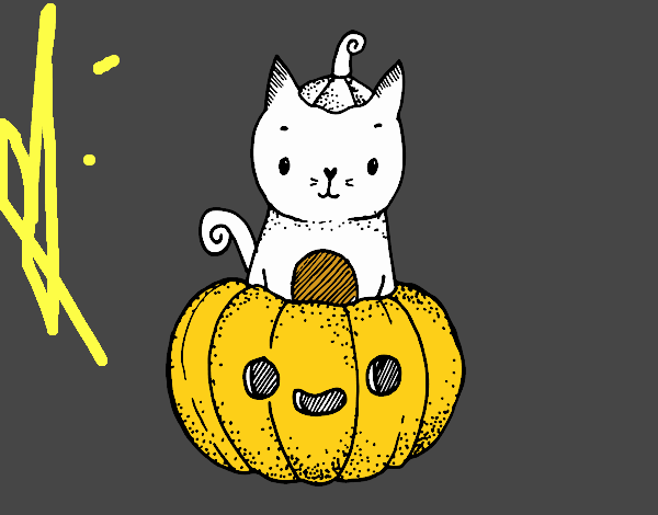 Un gatito de Halloween