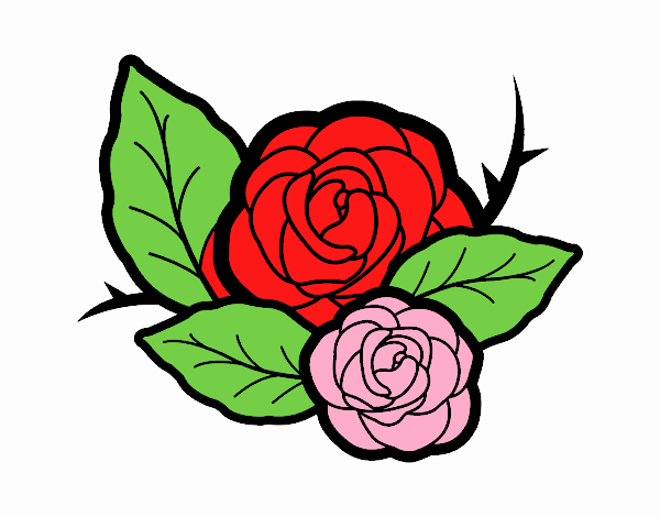 Dos rosas